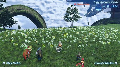 xenoblade torigoth flower patch.